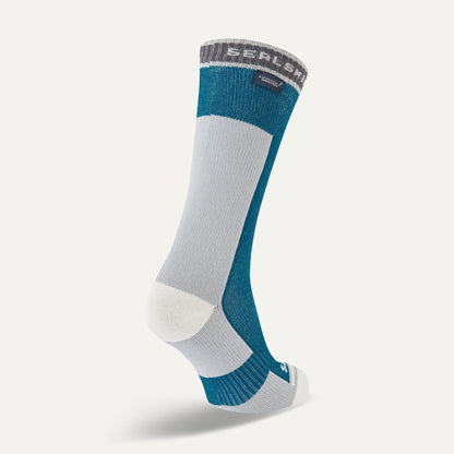 A single crew-length athletic sock shown on a foot form, featuring a color-blocked design of teal blue, light gray, and white, with a gray ribbed cuff and the brand name 'SEALSKINZ' visible.